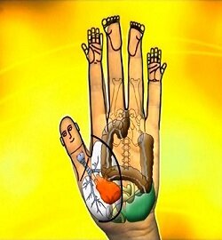 Урок 9. Самомассаж Су-Джок