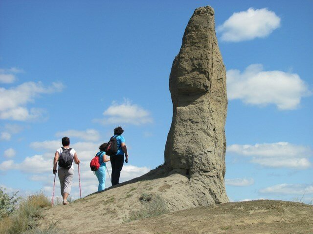 Скандинавская ходьба Соколова гора